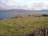i-p-beara1.jpg (94341 octets)