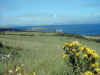 i-p-kerry2.jpg (93647 octets)