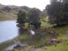 i-p-kerry5.jpg (85988 octets)