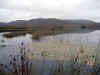 i-p-lacconnemara.jpg (73267 octets)