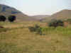 i-p-nafooey.jpg (82854 octets)